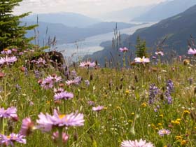 Wandern_8